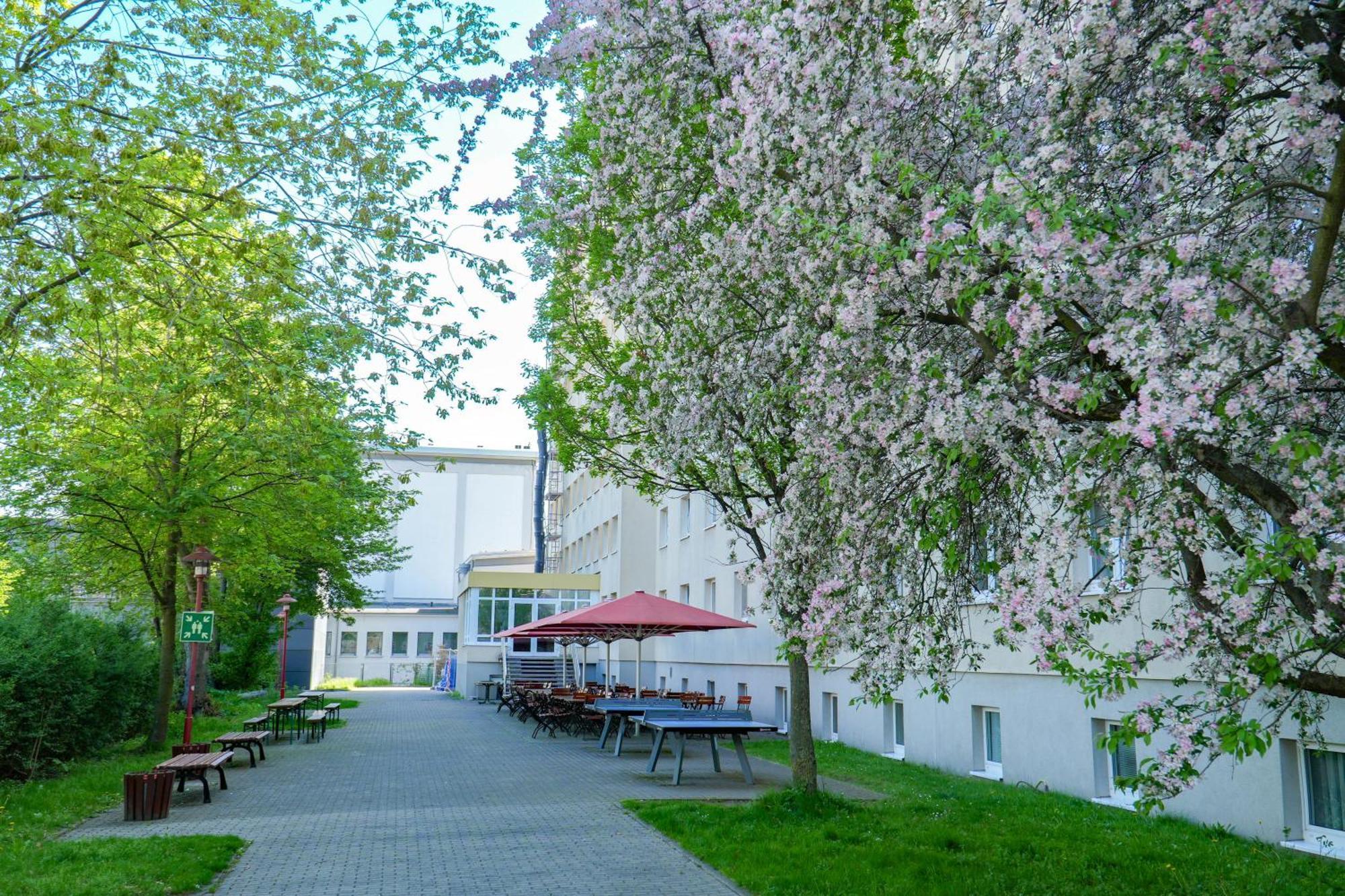 DJH Jugendherberge Dresden - Jugendgästehaus Eksteriør billede